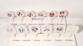 Модель "Митоз и мейоз клетки" - fgospostavki.ru - Королёв