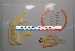 Модель барельефная "Челюсть человека" - fgospostavki.ru - Королёв