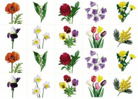 Комплект карточек "Запоминай, играй, считай" - Цветы - fgospostavki.ru - Королёв