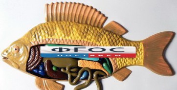 Модель барельефная "Внутреннее строение рыбы" - fgospostavki.ru - Королёв