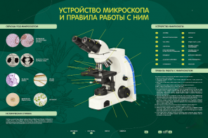 Электрифицированный стенд "Устройство микроскопа и правила работы c ним" - fgospostavki.ru - Королёв