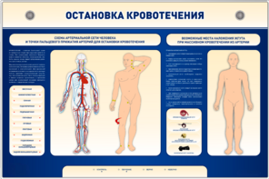 Электрифицированный стенд-тренажер "Остановка кровотечения" - fgospostavki.ru - Королёв