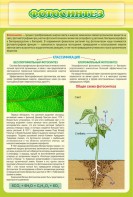 Стенд "Фотосинтез" - fgospostavki.ru - Королёв