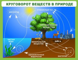 Стенд "Круговорот веществ" - fgospostavki.ru - Королёв
