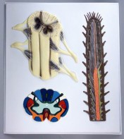 Модель барельефная "Строение спинного мозга" - fgospostavki.ru - Королёв