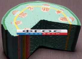 Модель "Стебель растения" - fgospostavki.ru - Королёв