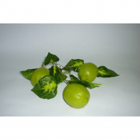 Ветка муляжей "Лайм" - fgospostavki.ru - Королёв