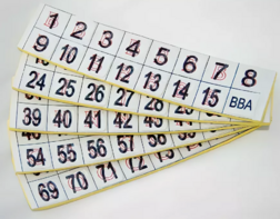 Фишки для игры «Бинго» со шрифтом Брайля - fgospostavki.ru - Королёв