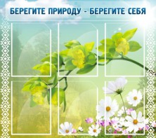 Стенд "Берегите природу - берегите себя" - fgospostavki.ru - Королёв