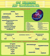 Стенд "От клетки до организма" - fgospostavki.ru - Королёв