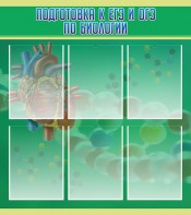Стенд "Подготовка к ЕГЭ и ОГЭ по биологии" Вариант 1 - fgospostavki.ru - Королёв
