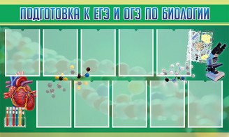 Стенд "Подготовка к ЕГЭ и ОГЭ по биологии" Вариант 2 - fgospostavki.ru - Королёв