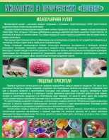 Стенд "Биология в профессии "повар"" - fgospostavki.ru - Королёв