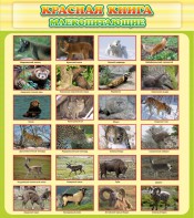 Стенд "Красная книга - млекопитающие" - fgospostavki.ru - Королёв