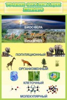Стенд "Уровни организации живого" - fgospostavki.ru - Королёв