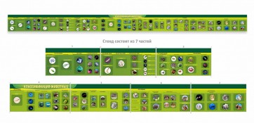 Стенд "Классификация групп животных" - fgospostavki.ru - Королёв