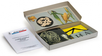 Модель-аппликация "Основные направления эволюции" (набор из 33 карт) - fgospostavki.ru - Королёв