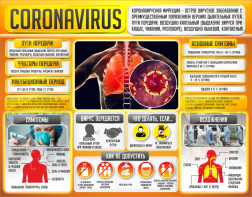 Плакат "Коронавирус" (вариант 2) - fgospostavki.ru - Королёв