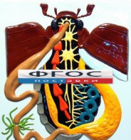 Модель барельефная "Внутреннее строение жука" - fgospostavki.ru - Королёв