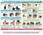 Комплект плакатов "Оказание первой доврачебной медицинской помощи" - fgospostavki.ru - Королёв